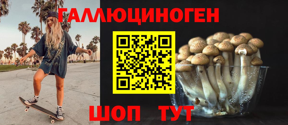 Галлюциногенные грибы Magic Shrooms  Галлюциногенные грибы мицелий  Амурск  Вход с VPN 