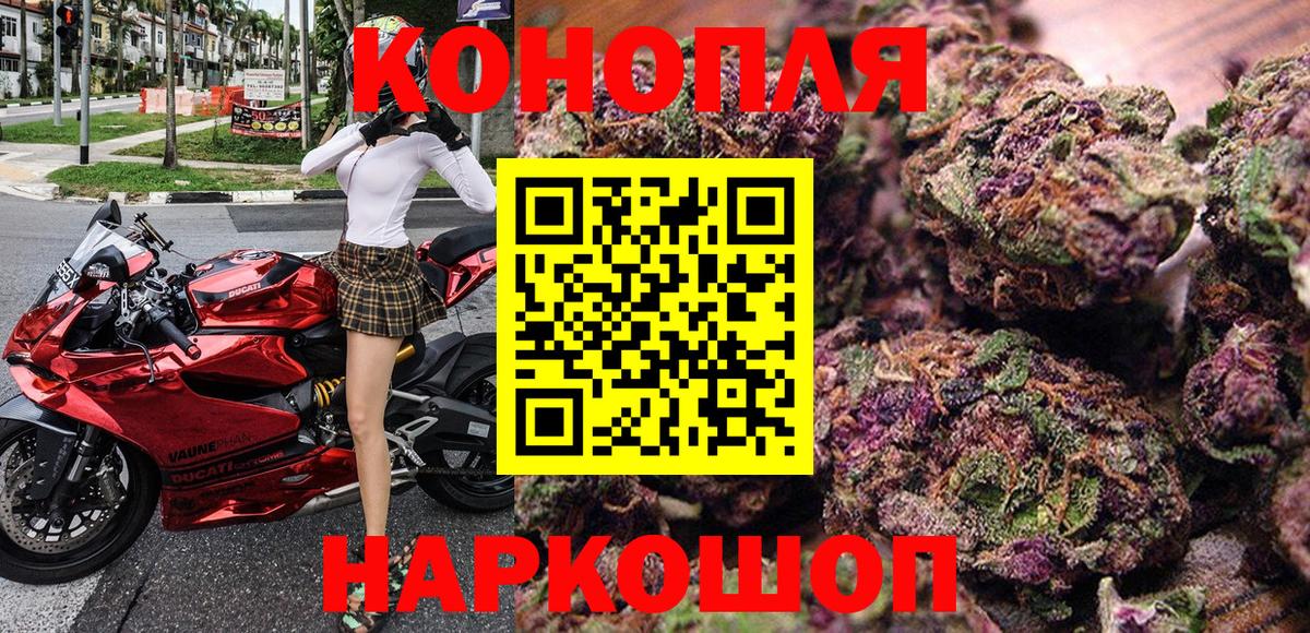 Бошки Шишки MAZAR Амурск